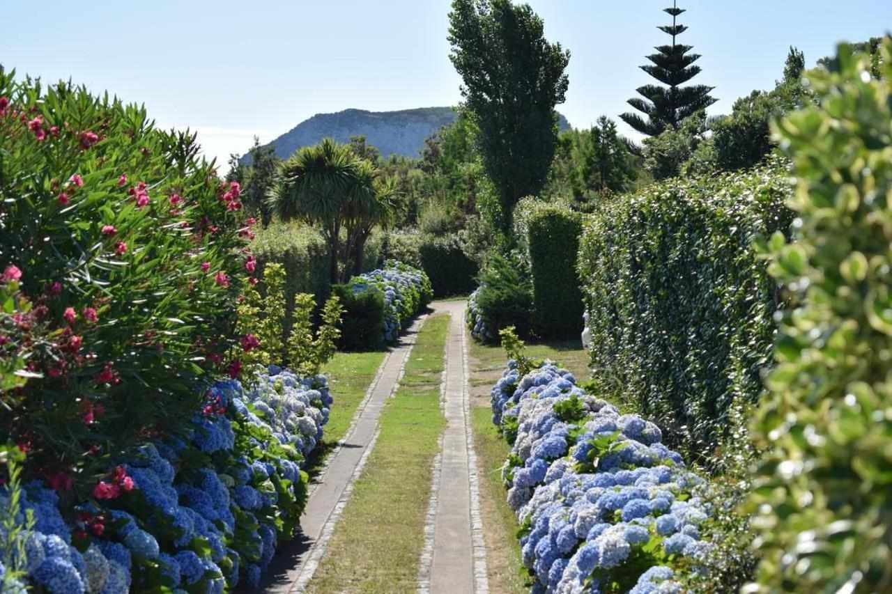 Quinta Da Meia Eira Castelo Branco  Zewnętrze zdjęcie