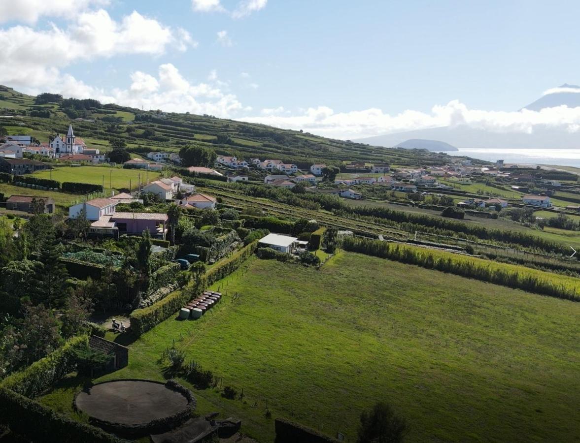 Quinta Da Meia Eira Castelo Branco  Zewnętrze zdjęcie