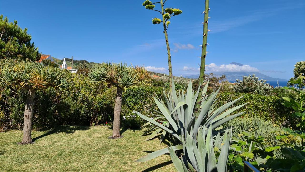 Quinta Da Meia Eira Castelo Branco  Zewnętrze zdjęcie